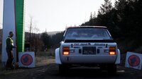 Assetto Corsa Rally screenshot, image №4288014 - RAWG