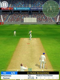 Cricket Megastar screenshot, image №927110 - RAWG