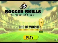 Soccer Skills Cup of World screenshot, image №3691573 - RAWG