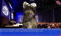 Cat President ~A More Purrfect Union~ screenshot, image №1673906 - RAWG