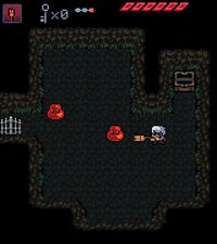 Anodyne Fan Remake screenshot, image №3015297 - RAWG
