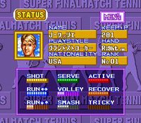 Final Match Tennis screenshot, image №765120 - RAWG