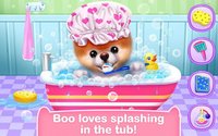 Boo - The World's Cutest Dog screenshot, image №1540013 - RAWG