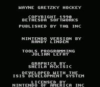 Wayne Gretzky Hockey screenshot, image №738612 - RAWG