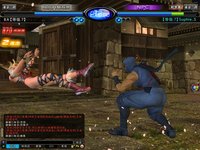 Dead or Alive Online screenshot, image №480255 - RAWG