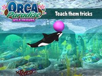 Orca Paradise: Wild Friends screenshot, image №1932574 - RAWG