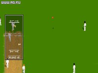 Allan Border's Cricket screenshot, image №308458 - RAWG