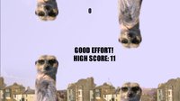 Flappy Abi screenshot, image №1178105 - RAWG