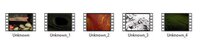 Unknown_file (ZeroWinter) screenshot, image №3440617 - RAWG