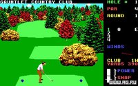 World Class Leader Board Golf screenshot, image №337935 - RAWG
