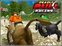 Bull Racing & Riding screenshot, image №2098998 - RAWG