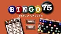Bingo 75 screenshot, image №2086514 - RAWG