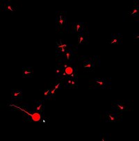 uohoT screenshot, image №1139478 - RAWG