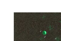 Tam Lin Hydlide screenshot, image №2853889 - RAWG