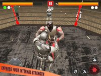 World Robot Fighting: Boxing C screenshot, image №1882940 - RAWG