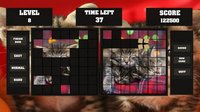 Fitzzle Cute Kittens screenshot, image №1323329 - RAWG