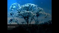 Гра в Коробку screenshot, image №3536909 - RAWG