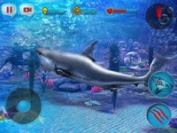 Angry Shark 2016 screenshot, image №895146 - RAWG