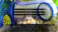 Hamster Watch screenshot, image №2473710 - RAWG