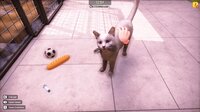 Animal Shelter 2 screenshot, image №4234320 - RAWG