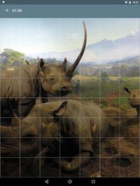 Jigsaw Puzzle: Animals screenshot, image №1497944 - RAWG