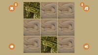 Snake couple screenshot, image №845630 - RAWG