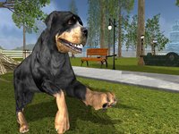 Rottweiler Dog Life Simulator screenshot, image №1333742 - RAWG