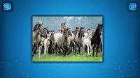 PUZZLE: ANIMALS screenshot, image №1822202 - RAWG