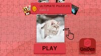 Ultimate Puzzles Cats 3 screenshot, image №3170436 - RAWG