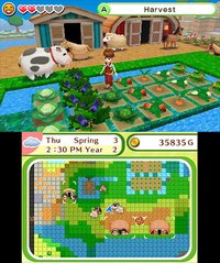 Harvest Moon: Skytree Village screenshot, image №266573 - RAWG