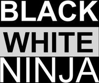 Black/White Ninja screenshot, image №3331109 - RAWG