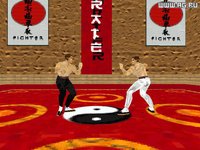 Karate Fighter screenshot, image №343365 - RAWG