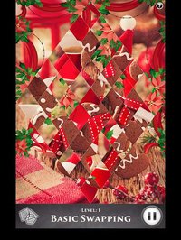 Hidden Scenes - Cozy Christmas screenshot, image №1675955 - RAWG