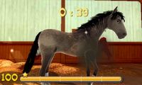 My Riding Stables 3D - Jumping for the Team screenshot, image №243849 - RAWG