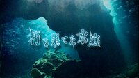CRYPTOFANTASY-甲賀の書 screenshot, image №4162698 - RAWG