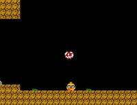 Mr. Mushroom (Wooltronic Studios) screenshot, image №2895330 - RAWG