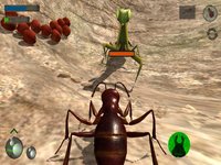 Ant Simulation 3D Full screenshot, image №2174242 - RAWG