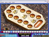 Smart Games Puzzle Challenge 3 screenshot, image №322335 - RAWG