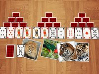 TriPeaks Wild Animals screenshot, image №1330749 - RAWG