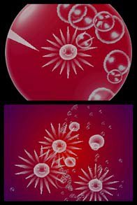 Electroplankton Sun-Animalcule screenshot, image №792704 - RAWG