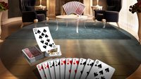 Gin Rummy 3D Premium screenshot, image №2229473 - RAWG