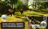 DEER HUNTER RELOADED screenshot, image №688864 - RAWG