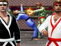 Karate Fighting Art - Kung Fu Ninja Tiger actions screenshot, image №926653 - RAWG