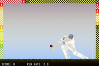 Little Master Cricket screenshot, image №937743 - RAWG