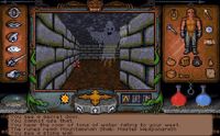 Ultima Underworld 1+2 screenshot, image №220368 - RAWG