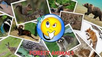 Animals for Kids, Planet Earth Animal Sounds screenshot, image №1558462 - RAWG