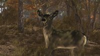 Pro Deer Hunting screenshot, image №2280372 - RAWG