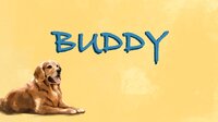 Buddy (itch) (Jiaqu Wu) screenshot, image №3322074 - RAWG