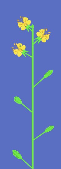 Evolving Plants - Mustard screenshot, image №3299595 - RAWG