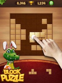 Block Puzzle Wood screenshot, image №903345 - RAWG